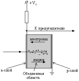 детектор